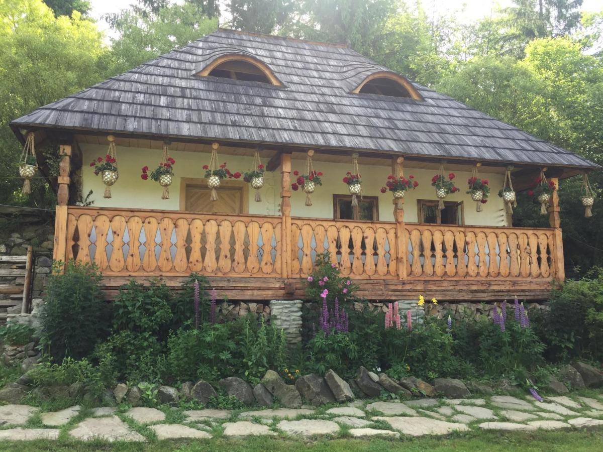 Pensiunea Agroturistica Casa Colinita Vatra Moldoviţei Exterior foto