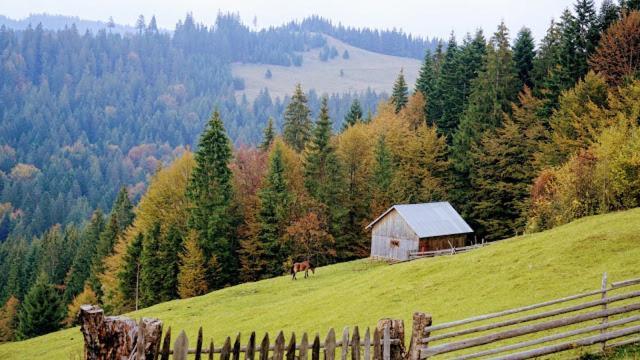 Pensiunea Agroturistica Casa Colinita Vatra Moldoviţei Exterior foto