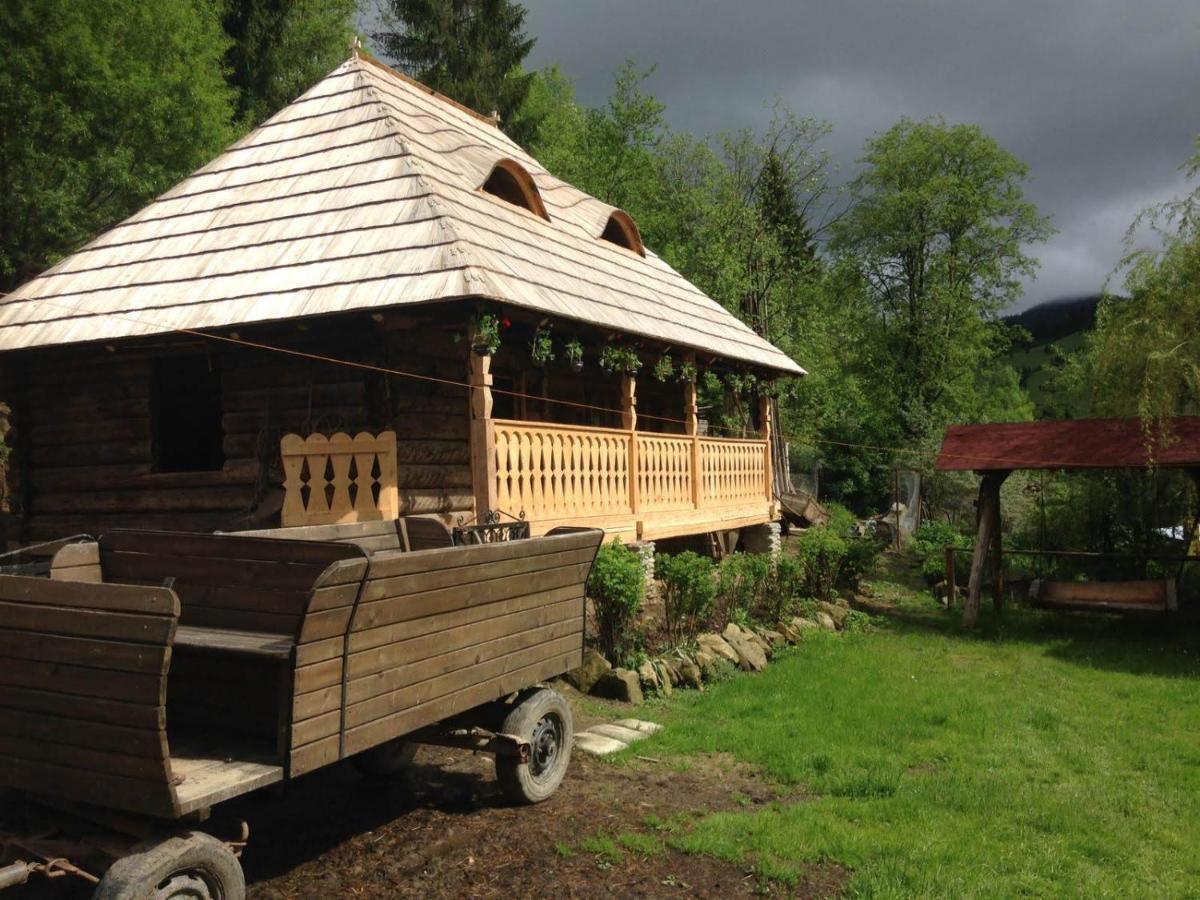 Pensiunea Agroturistica Casa Colinita Vatra Moldoviţei Exterior foto