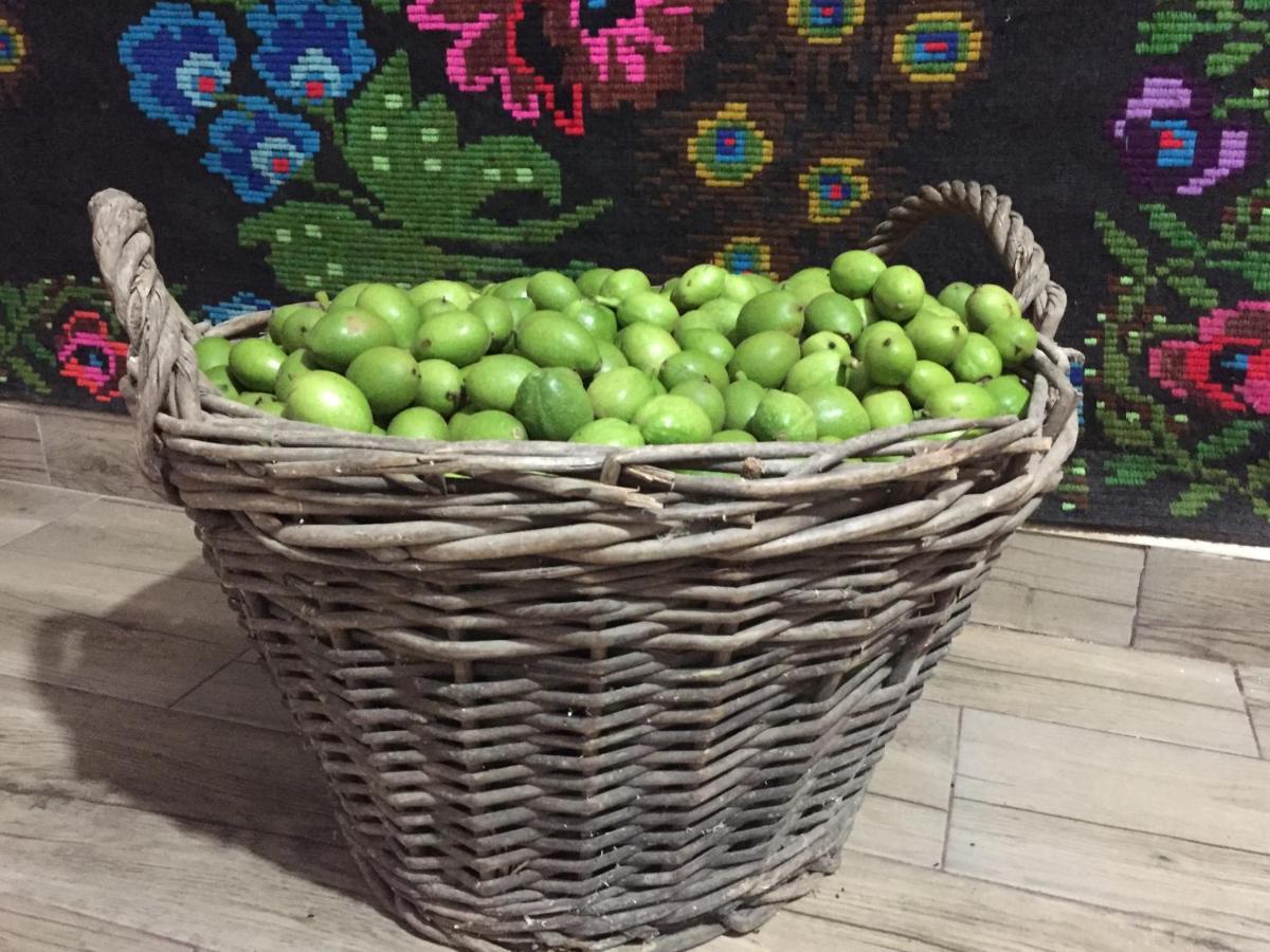Pensiunea Agroturistica Casa Colinita Vatra Moldoviţei Exterior foto
