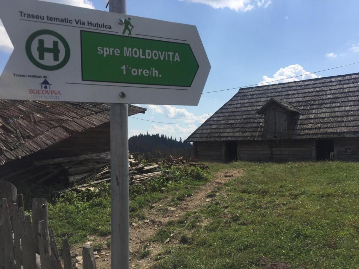 Pensiunea Agroturistica Casa Colinita Vatra Moldoviţei Exterior foto