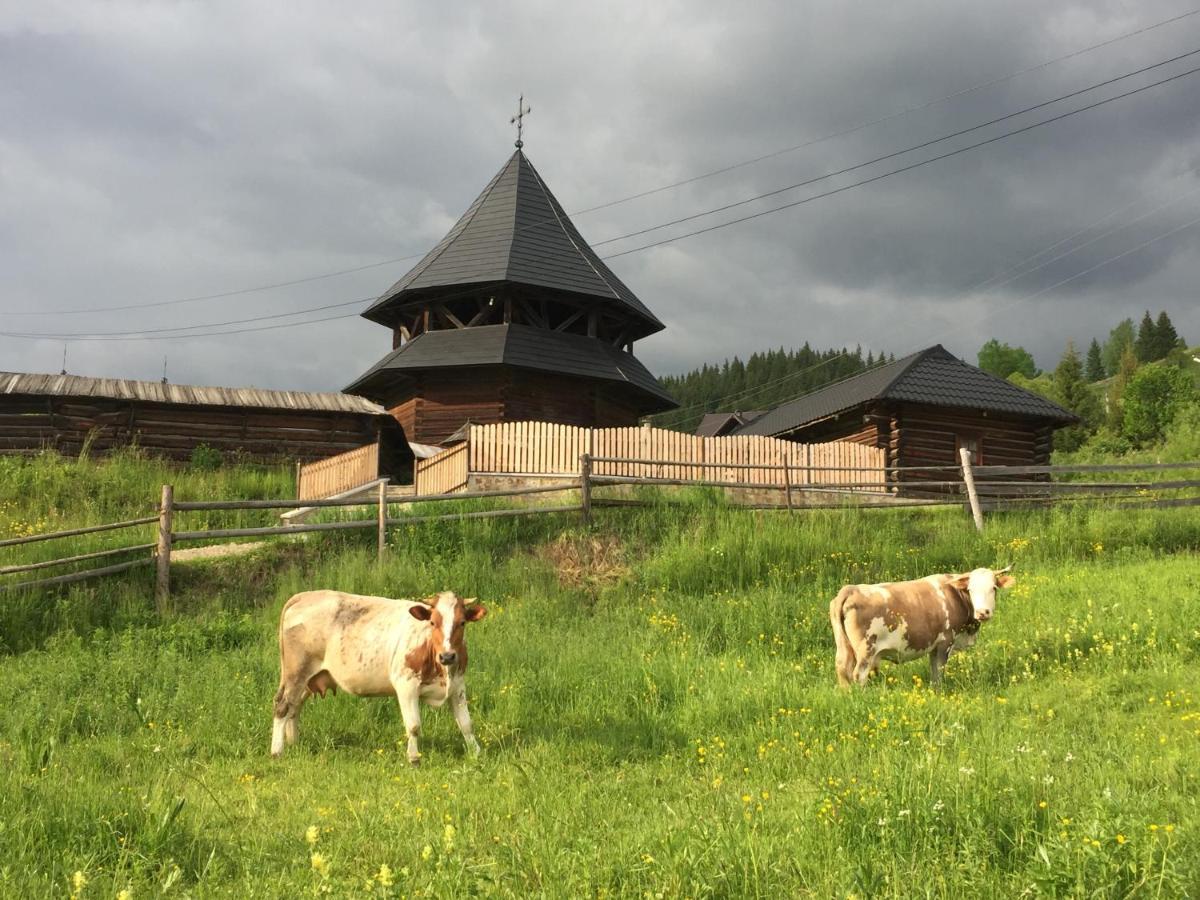 Pensiunea Agroturistica Casa Colinita Vatra Moldoviţei Exterior foto