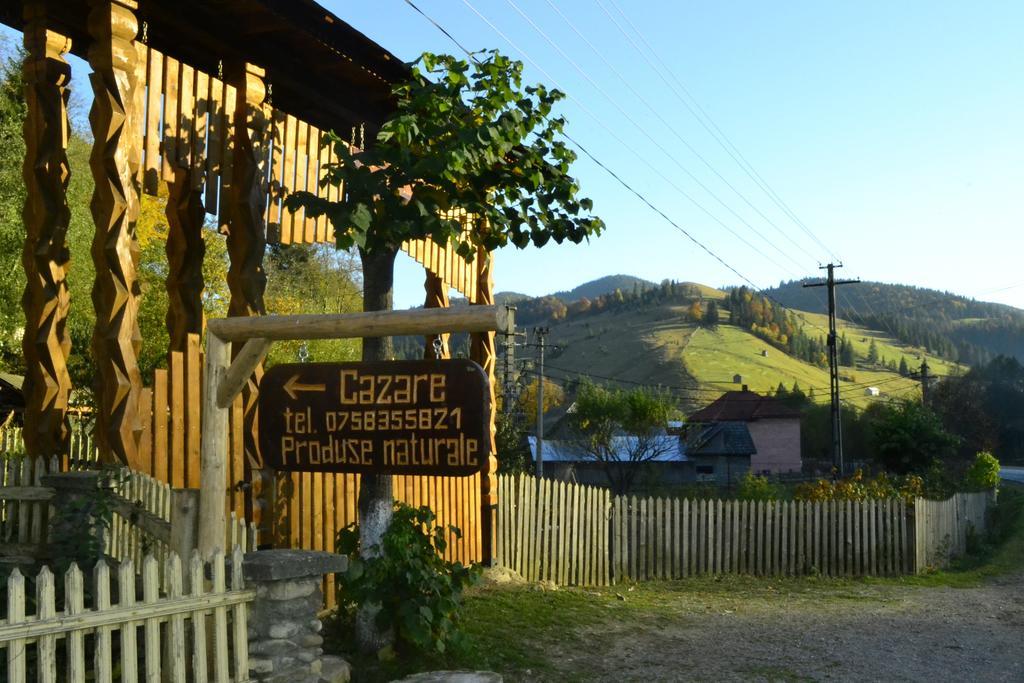 Pensiunea Agroturistica Casa Colinita Vatra Moldoviţei Exterior foto