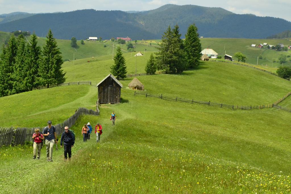 Pensiunea Agroturistica Casa Colinita Vatra Moldoviţei Exterior foto