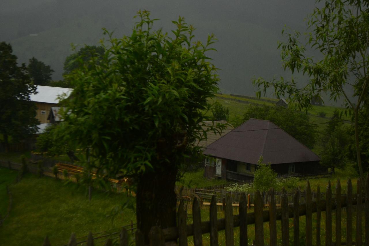 Pensiunea Agroturistica Casa Colinita Vatra Moldoviţei Exterior foto
