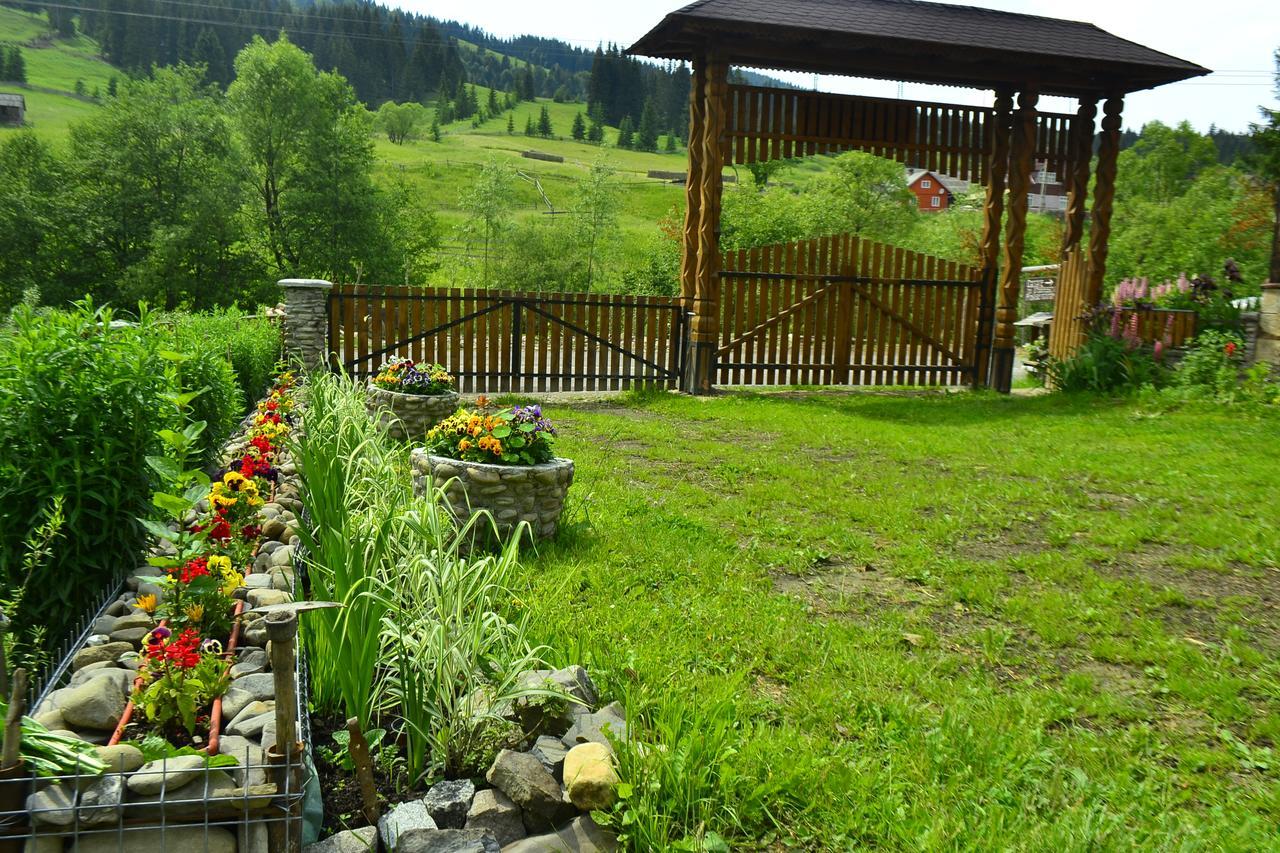 Pensiunea Agroturistica Casa Colinita Vatra Moldoviţei Exterior foto
